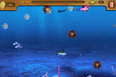 Feedings Frenzy screenshot 4