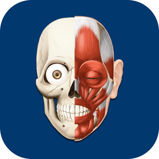 HiDoctor Atlas de Anatomia do Corpo Humano Download
