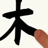 Chinese Writing Practice delete, cancel