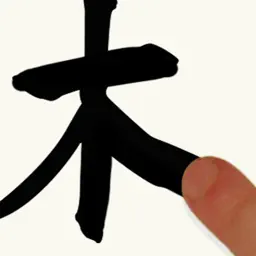 Chinese Writing Practice app icon