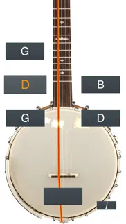 banjo tuner simple iphone screenshot 2