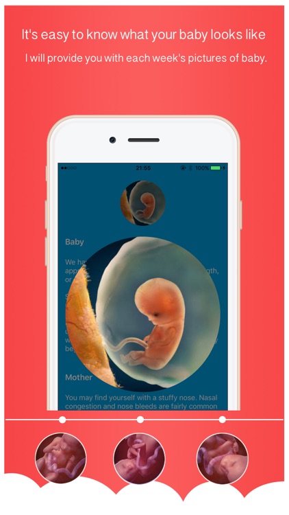 Hava a Baby - Your pregnancy assistant