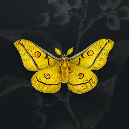 The Art of Science app icon