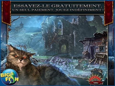 Screenshot #4 pour Grim Facade: L'Amour Vengé - Un mystère d'objets cachés