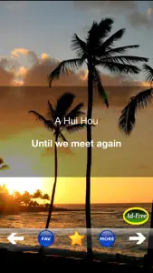 Hawaiian Words & Phrases! Hawaii Dictionary and Casual Language Translation Guide screenshot #3 for iPhone