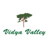 Vidya Valley School