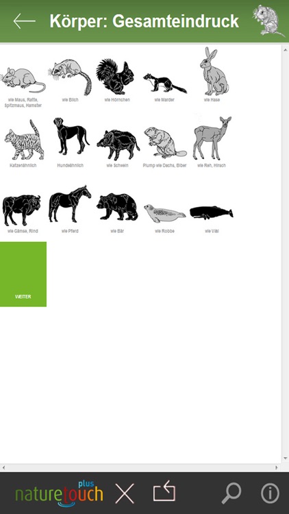 Hase, Igel, Fuchs und Wolf bestimmen, Säugetiere Mitteleuropas