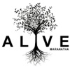 Alive Youth