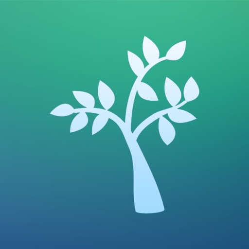 Nature Sounds & Ambient Music - For Relaxation & Meditation