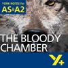 The Bloody Chamber York Notes AS and A2 for iPad