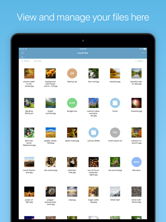 Screenshot #1 for File Manager Plus