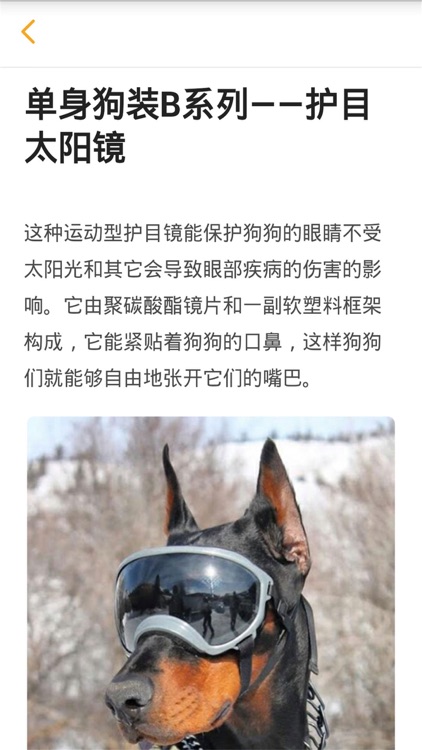 狗狗管家