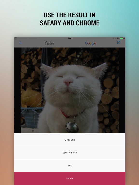 Screenshot #6 pour Reverse Photo Search – Free And Easy Image Search