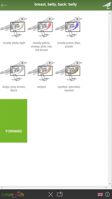 Identify 500 birds, naturetouch Screenshot