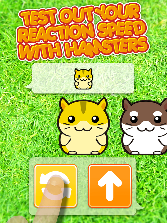 Screenshot #5 pour Hamster Dojo - Best Fun Pocket Games Play With My Littlest Pet Hamsters
