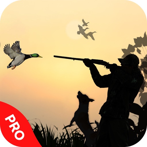 Duck Hunting Sport Pro: The open season after Deer hunting in Grand Park Forest icon