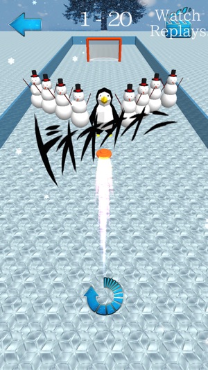 Ice Hokey Puzzle