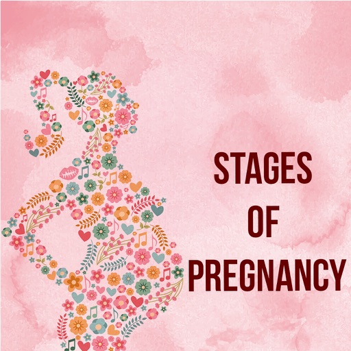 Stages Of Pregnancy - Week by Week