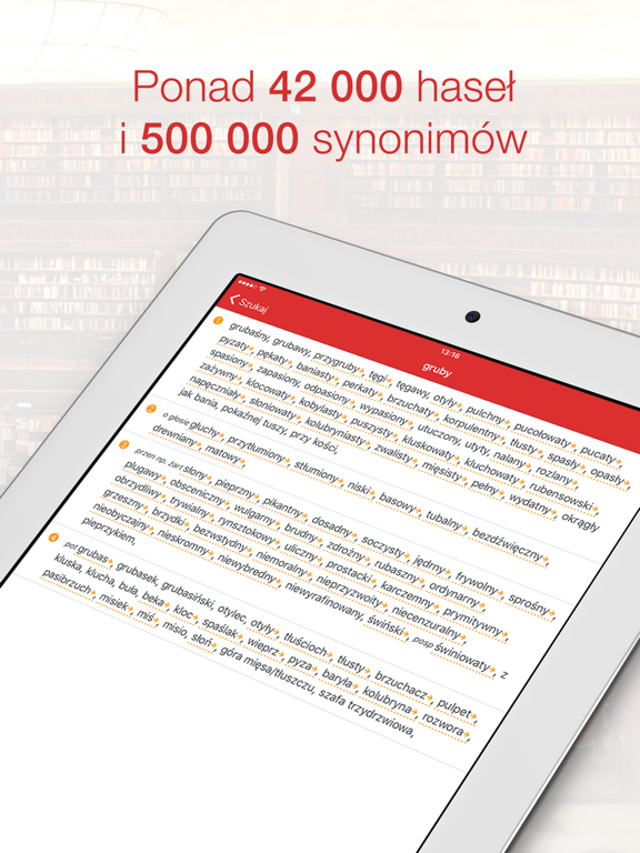 Screenshot #6 pour Synonimy