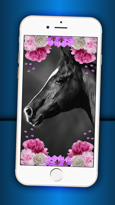 うま 壁紙 綺麗な 黒 白 馬 跳躍 ピクチャー そして ロック画面 背景 Iphoneアプリ Applion