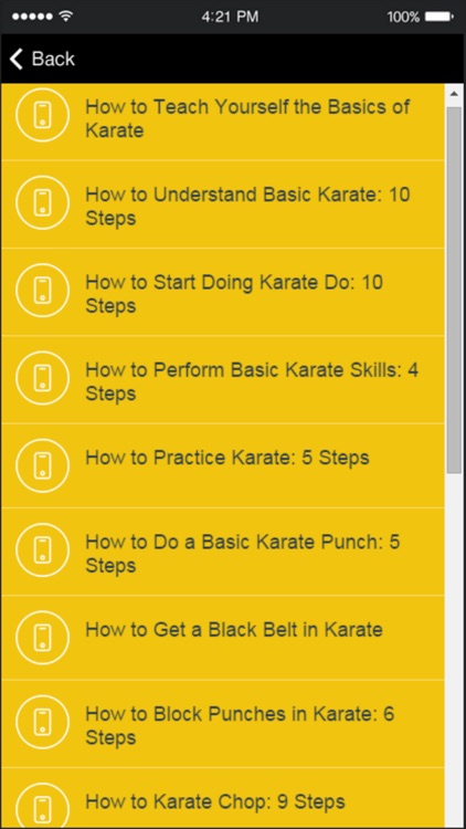 Karate Techniques - Learn Basic Karate Moves Easily