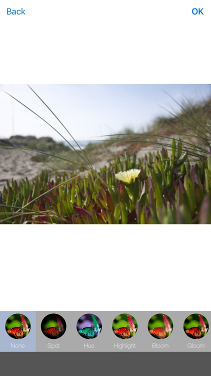 PhotoEffect - Free Pic and Photo Collage Maker & Grid Editor