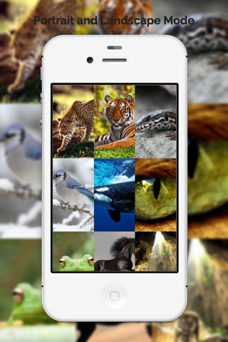 Animal Wallpapers & Backgrounds Free HD screenshot 4