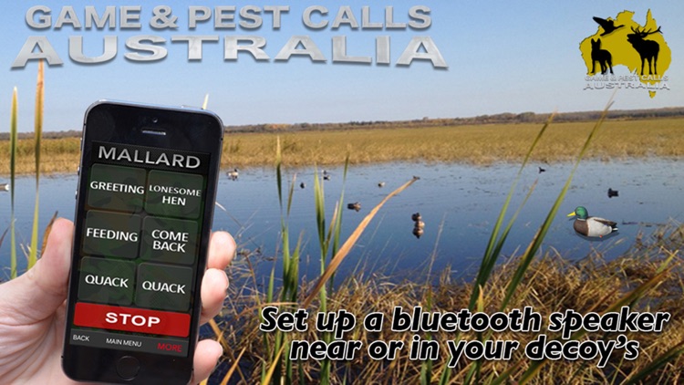 Australia Game and Pest Calls screenshot-4