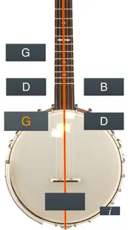 banjo tuner simple iphone screenshot 1
