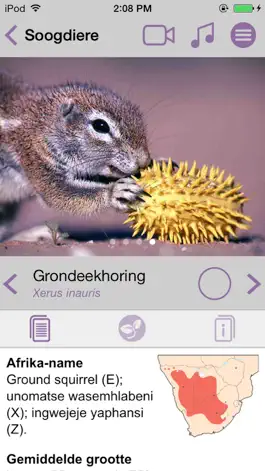 Game screenshot Sasol Soogdiere vir Beginners (Lite): Blitsfeite, foto's en video's van 46 Suider-Afrikaanse diere hack