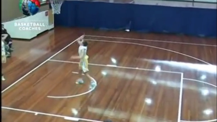 Teach Yourself Basketball screenshot-3