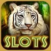 White Tiger: FREE Lucky Solitaire Slots Game Spin to Win
