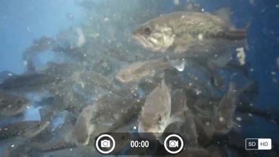 FishSens SondeCAM screenshot