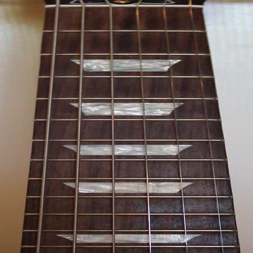 Electric Guitar Fretboard Addict