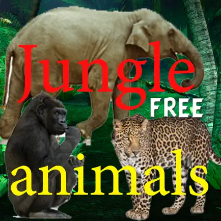 Животные джунглей Читы