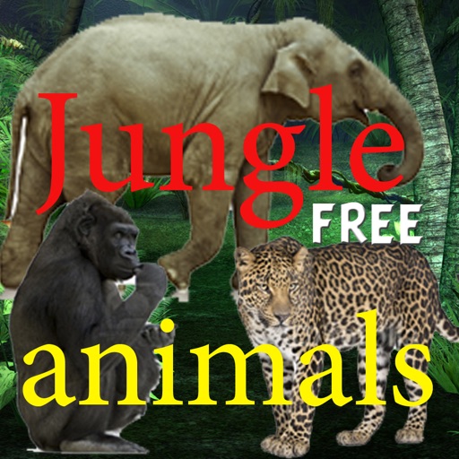 Jungle animals Free icon