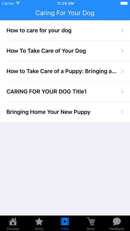 Caring For Your Dog