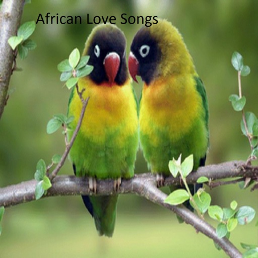 African Love Songs icon