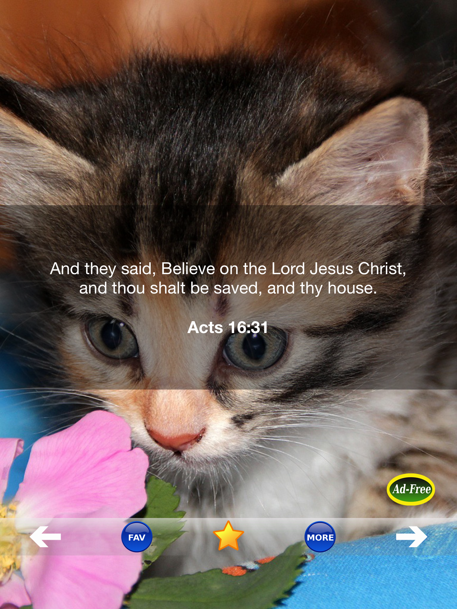 Bible Study for Kids FREE! Inspirational Verse of the Day App With Daily Devotionals & Inspirations!