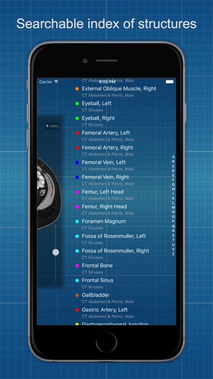 X-Anatomy Basic screenshot-3
