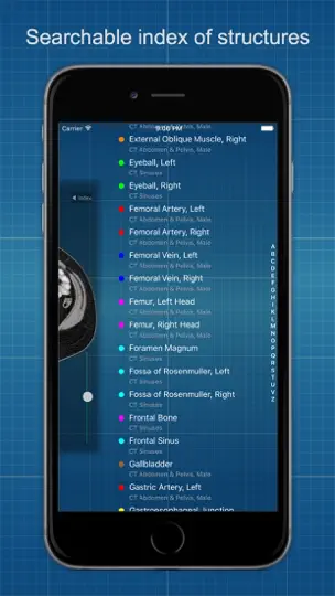 X-Anatomy Basic iPhone Screenshot 4