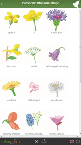 Game screenshot Identify 3000 plants, naturetouch apk