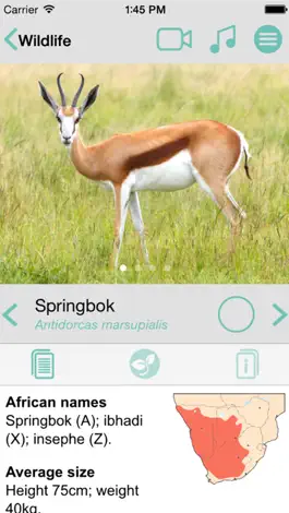 Game screenshot Sasol Wildlife for Beginners (Lite): Quick facts, photos and videos of 46 southern African animals hack