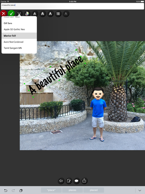 Add Text To Your Photos iPad screenshot
