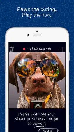 Paws Pause screenshot 2