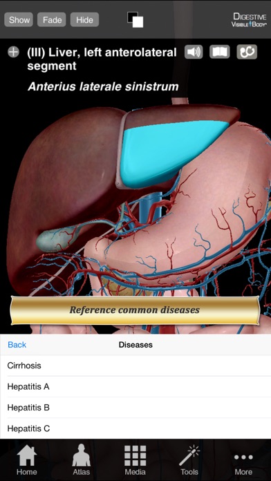 Digestive Anatomy Atl... screenshot1