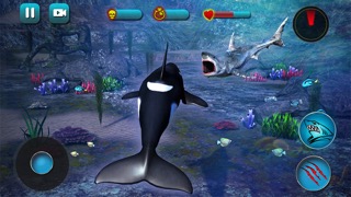 Killer Whale Beach Attack 3Dのおすすめ画像3