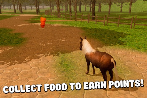 Pony Horse Riding 3D screenshot 4