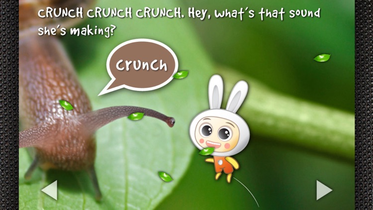 Ribbit, Did I Just Say Ribbit?: Hear to Learn Animal Sounds - Children’s Story Book screenshot-3