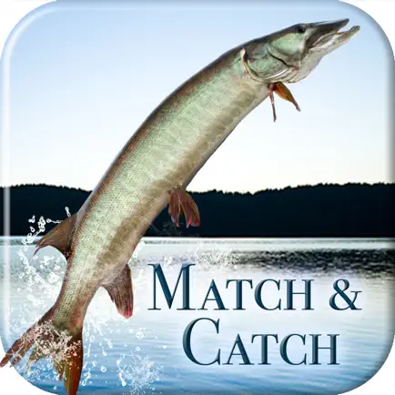 i Fishing Match and Catch Читы